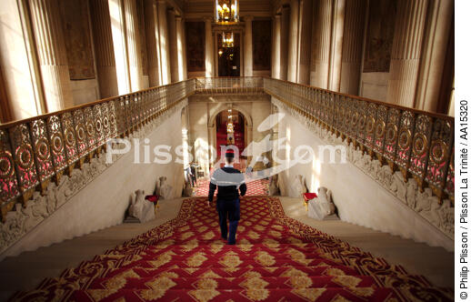 Palais du Luxembourg. Escalier d'honneur du Sénat - © Philip Plisson / Plisson La Trinité / AA15320 - Nos reportages photos - Activité terrestre