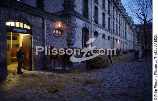 Republican guard. Quartier des Célestins - © Philip Plisson / Plisson La Trinité / AA15321 - Photo Galleries - Army