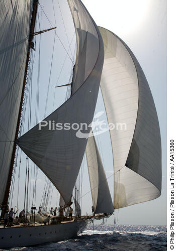 Eleonora - Classic Week 2007 - © Philip Plisson / Plisson La Trinité / AA15360 - Nos reportages photos - Goélette [Yachting]