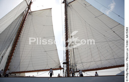 Eleonora - Classic Week 2007 - © Philip Plisson / Plisson La Trinité / AA15363 - Nos reportages photos - Goélette [Yachting]