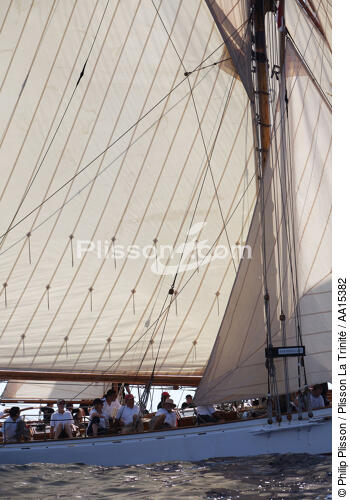 Classic Week 2007 - © Philip Plisson / Plisson La Trinité / AA15382 - Nos reportages photos - Voiles Classiques