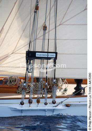 Classic Week 2007 - © Philip Plisson / Plisson La Trinité / AA15390 - Photo Galleries - Classic Yachting