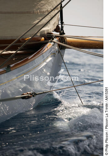 Classic Week 2007 - © Philip Plisson / Plisson La Trinité / AA15391 - Nos reportages photos - Voiles Classiques