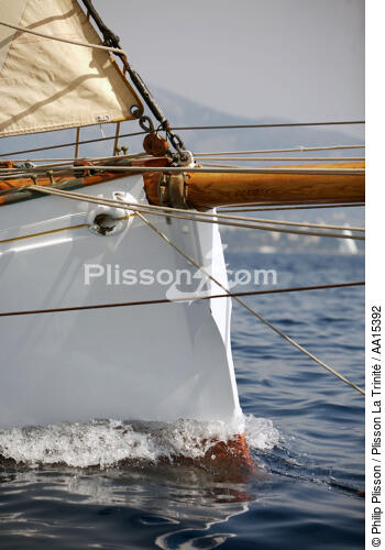 Classic Week 2007 - © Philip Plisson / Plisson La Trinité / AA15392 - Photo Galleries - Classic Yachting