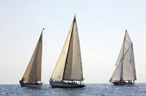 Classic Week 2007 © Philip Plisson / Plisson La Trinité / AA15407 - Photo Galleries - Classic Yachting