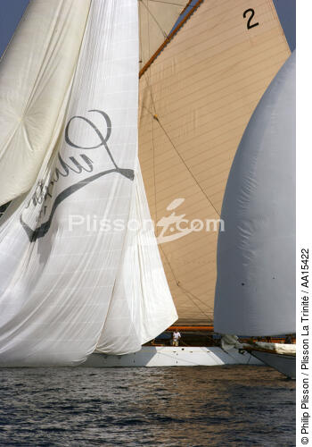 Lulworth - Classic Week 2007 - © Philip Plisson / Plisson La Trinité / AA15422 - Photo Galleries - Classic Yachting