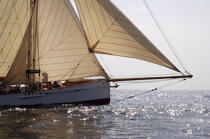 Classic Week 2007 © Philip Plisson / Plisson La Trinité / AA15425 - Photo Galleries - Classic Yachting