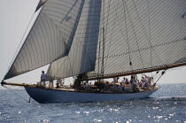 Classic Week 2007 © Philip Plisson / Plisson La Trinité / AA15436 - Photo Galleries - Classic Yachting