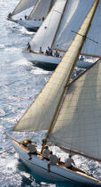 Royal regattas 2007 © Guillaume Plisson / Plisson La Trinité / AA15489 - Photo Galleries - Classic Yachting