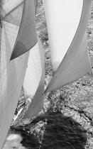 Royale regatta 2007. © Guillaume Plisson / Plisson La Trinité / AA15496 - Photo Galleries - Black and white