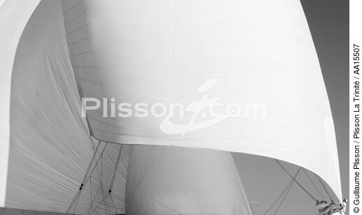 Royale regatta 2007. - © Guillaume Plisson / Plisson La Trinité / AA15507 - Photo Galleries - Spinnaker