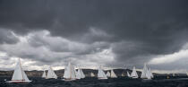Royale regatta 2007. © Guillaume Plisson / Plisson La Trinité / AA15517 - Photo Galleries - Classic Yachting