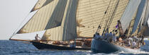 Les voiles de Saint Tropez 2007 © Guillaume Plisson / Plisson La Trinité / AA15522 - Photo Galleries - Classic Yachting
