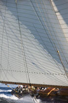 Les voiles de Saint Tropez 2007 © Guillaume Plisson / Plisson La Trinité / AA15541 - Photo Galleries - Classic Yachting