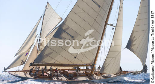 Les Voiles de Saint-Tropez 2007. - © Guillaume Plisson / Plisson La Trinité / AA15547 - Photo Galleries - Classic Yachting