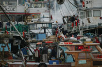 Istanbul - Kumkapi - Port de pêche © Philip Plisson / Pêcheur d’Images / AA15584 - Nos reportages photos - Istanbul, le détroit du Bosphore