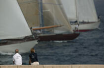 The sails of Saint Tropez © Philip Plisson / Plisson La Trinité / AA15603 - Photo Galleries - Classic Yachting