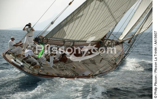 Mariquita during the Sails of Saint Tropez - © Philip Plisson / Plisson La Trinité / AA15607 - Photo Galleries - Mariquita