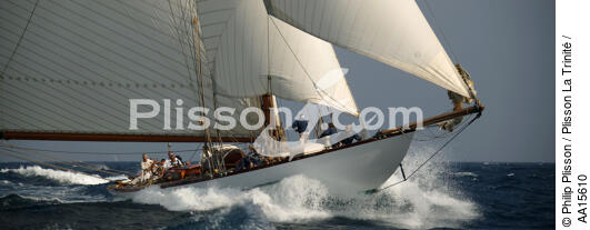 Mariquita during the sails of Saint Tropez - © Philip Plisson / Plisson La Trinité / AA15610 - Photo Galleries - Mariquita