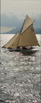 Royal Racing © Philip Plisson / Plisson La Trinité / AA15611 - Photo Galleries - Classic Yachting