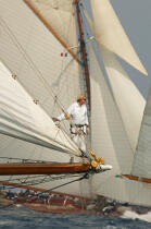 The sails of Saint Tropez © Philip Plisson / Plisson La Trinité / AA15612 - Photo Galleries - Yachting