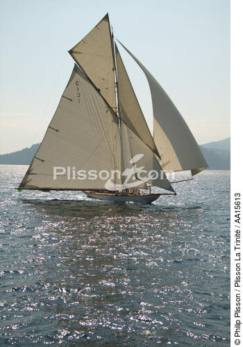 Mariquita during the sails of Saint Tropez - © Philip Plisson / Plisson La Trinité / AA15613 - Photo Galleries - Mariquita