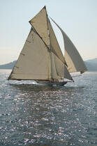 Mariquita during the sails of Saint Tropez © Philip Plisson / Plisson La Trinité / AA15613 - Photo Galleries - Classic Yachting