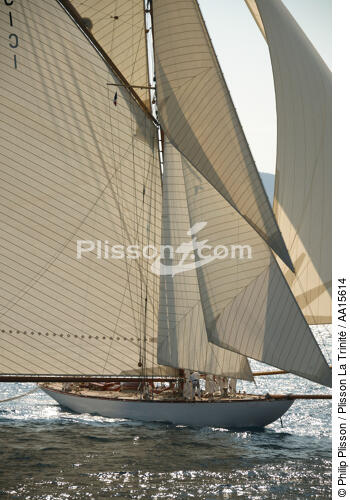 Mariquita during the sails of Saint Tropez - © Philip Plisson / Plisson La Trinité / AA15614 - Photo Galleries - Les Voiles de Saint-Tropez
