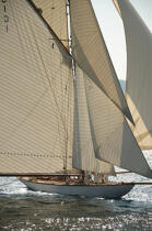 Mariquita during the sails of Saint Tropez © Philip Plisson / Plisson La Trinité / AA15614 - Photo Galleries - Yachting