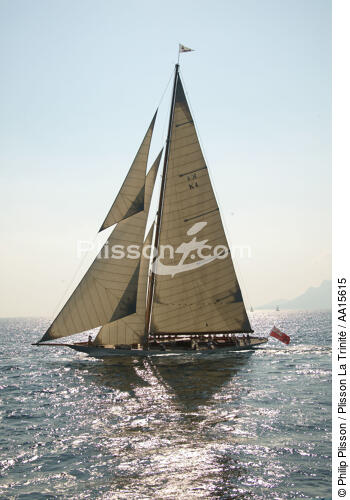 Cambria during the sails of Saint Tropez - © Philip Plisson / Plisson La Trinité / AA15615 - Photo Galleries - 23 MIC