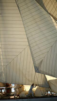 The sails of Saint Tropez © Philip Plisson / Plisson La Trinité / AA15617 - Photo Galleries - Classic Yachting