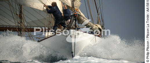 Mariquita durant les Voiles de Saint Tropez - © Philip Plisson / Plisson La Trinité / AA15618 - Nos reportages photos - Yachting