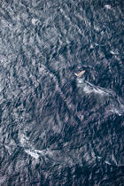 Planche à voile © Guillaume Plisson / Plisson La Trinité / AA15627 - Nos reportages photos - Planche à voile