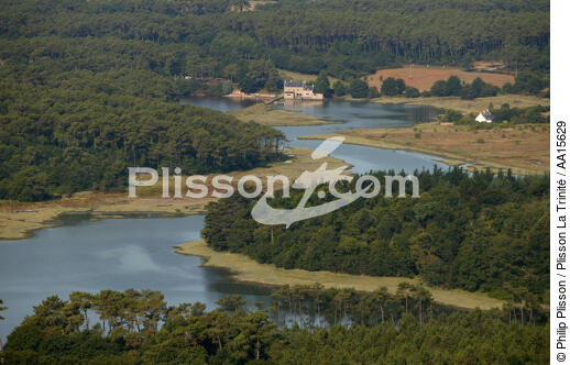Sur la rivière de Crac'h. - © Philip Plisson / Plisson La Trinité / AA15629 - Nos reportages photos - Moulin