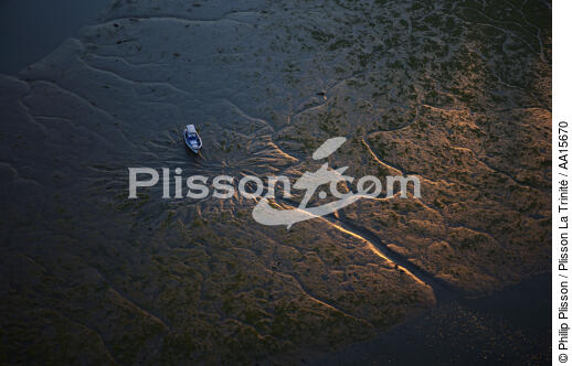 Empreinte en rivière de Crach - © Philip Plisson / Plisson La Trinité / AA15670 - Nos reportages photos - Le Morbihan à tire d'ailes Photos de Philip Plisson