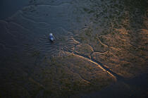 Empreinte en rivière de Crach © Philip Plisson / Plisson La Trinité / AA15670 - Nos reportages photos - Le Morbihan à tire d'ailes Photos de Philip Plisson