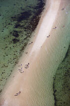 La plage du Men-Du à la Trinité sur mer. © Philip Plisson / Plisson La Trinité / AA15683 - Photo Galleries - Men Du