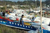 Malagasy Cup © Philip Plisson / Plisson La Trinité / AA15797 - Photo Galleries - Rowing boat