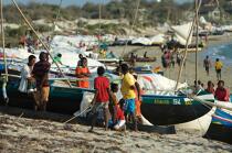Malagasy Cup © Philip Plisson / Plisson La Trinité / AA15798 - Photo Galleries - Rowing boat