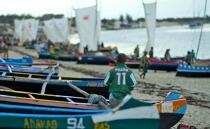 Malagasy Cup © Philip Plisson / Plisson La Trinité / AA15800 - Photo Galleries - Rowing boat