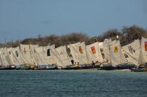 Malagasy Cup © Philip Plisson / Plisson La Trinité / AA15807 - Photo Galleries - Rowing boat