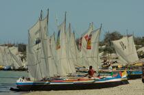Malagasy Cup © Philip Plisson / Plisson La Trinité / AA15815 - Photo Galleries - Rowing boat