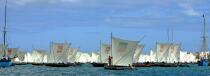 Malagasy Cup © Philip Plisson / Plisson La Trinité / AA15819 - Photo Galleries - Rowing boat