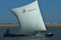 Malagasy Cup © Philip Plisson / Plisson La Trinité / AA15828 - Photo Galleries - Rowing boat