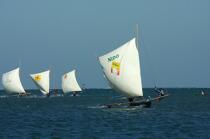 Malagasy Cup © Philip Plisson / Plisson La Trinité / AA15832 - Photo Galleries - Rowing boat
