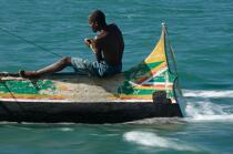 Malagasy Cup © Philip Plisson / Plisson La Trinité / AA15840 - Photo Galleries - Rowing boat