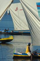 Malagasy Cup © Philip Plisson / Plisson La Trinité / AA15851 - Photo Galleries - Rowing boat