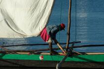 Malagasy Cup © Philip Plisson / Plisson La Trinité / AA15852 - Photo Galleries - Rowing boat