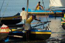 Malagasy Cup © Philip Plisson / Plisson La Trinité / AA15853 - Photo Galleries - Rowing boat