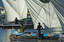 Malagasy Cup © Philip Plisson / Plisson La Trinité / AA15854 - Photo Galleries - Rowing boat